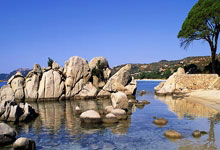 PG电子娱乐官网下载-年度焦点之战之夜，约基奇点燃赛场